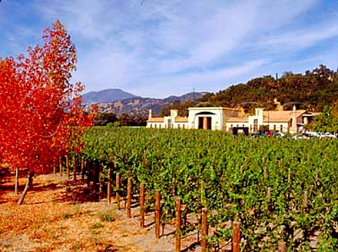 Cabernet Sauvignon vineyard at Clos Pegase   Calistoga Napa Co California
