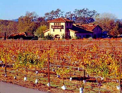 Autumnal vineyard of White Oak Winery Geyserville   Sonoma Co California    Alexander Valley AVA