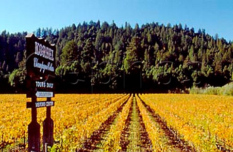 Autumnal Chardonnay vineyard of Korbel    Guerneville Sonoma Co California     Russian River Valley AVA