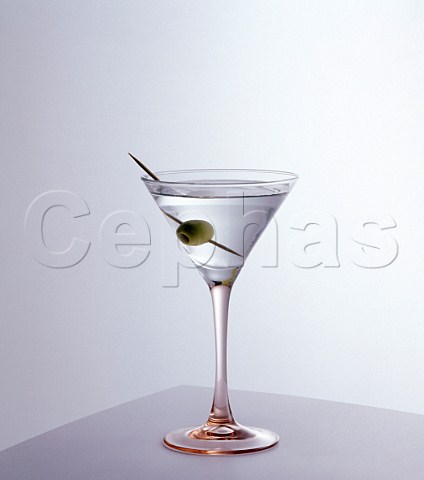 Cocktail Dry Martini   Glass Martini
