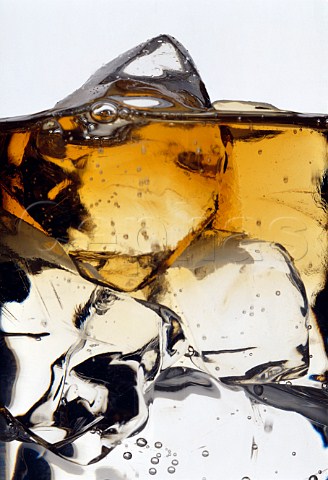 Whisky and tonic with ice