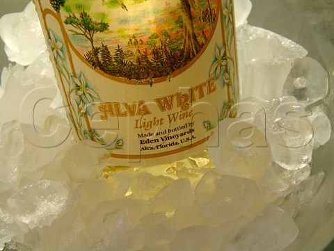 Bottle of Eden Vineyards Alva White wine in ice   bucket