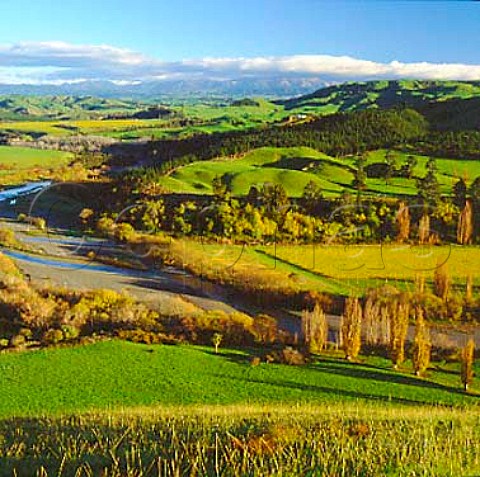 Sacred Hills Dartmoor Vineyard by the Tutaekuri   River in the Dartmoor Valley Puketapu   New Zealand   Hawkes Bay