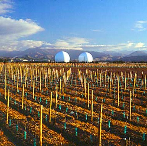 Thornbury Shandon Road vineyard in the Waihopai   Valley with the Electronic Intelligence Gathering   Base beyond    Marlborough New Zealand