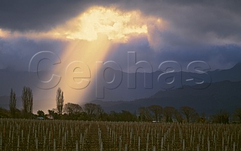 Shafts of sunlight through storm clouds   above Renwick vineyard of Brancott Estate  Marlborough New Zealand