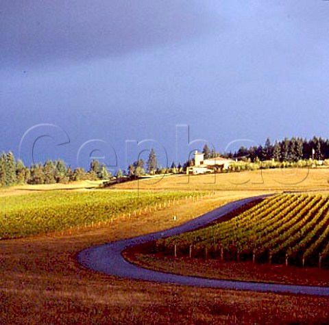 Stormy light on Domaine Serene and its vineyard   Dayton Oregon USA  Willamette Valley