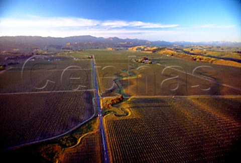 Aerial view of vineyards in the Brancott   Valley including Montana Brancott   Estate Marlborough New Zealand