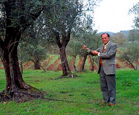 Greg Reisinger in 130year old Picholine olive grove   of BR Cohn Glen Ellen Sonoma Valley California