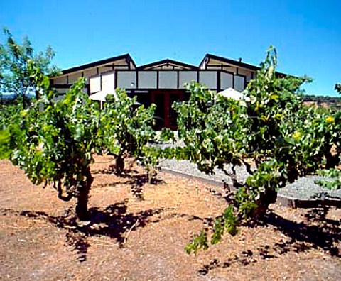 Wellington Vineyards winery   Glen Ellen Sonoma California