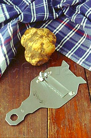 White truffle with a truffle shaver   Alba Piemonte Italy