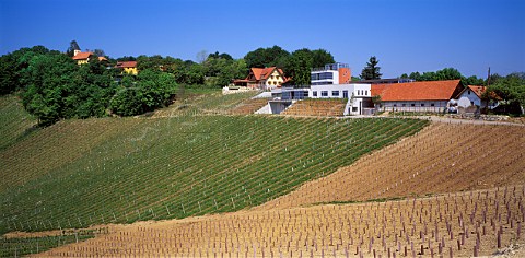 Winery of Weingut Manfred Tement Berghausen   Austria Sdsteiermark