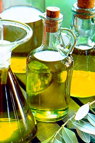 Bottles of olive oil with bay leaves