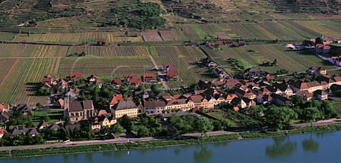 Vineyards and village of Unterloiben on the River Danube Niedersterreich Austria Wachau