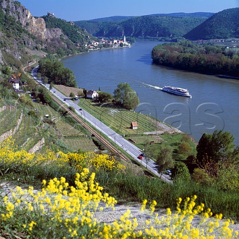 Schreiberberg vineyard and River Danube from   Flohhaxen Drnstein   Niedersterreich Austria Wachau