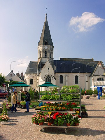 Flowers on sale in the town square Bler  IndreetLoire France  Touraine