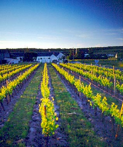 Buildings and vineyards of Domaine Yannick Amirault   Bourgueil IndreetLoire France Bourgueil
