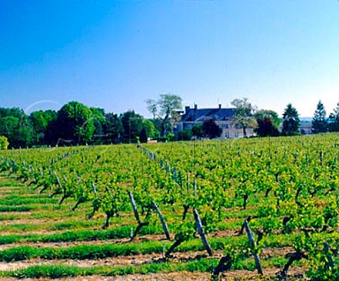 Chteau de Villeneuve seen across its vineyards   SouzayChampigny Saumur   MaineetLoire France SaumurChampigny