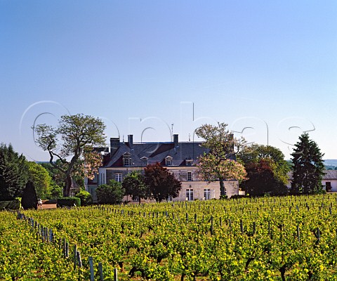 Chteau de Villeneuve seen across its vineyards   SouzayChampigny Saumur   MaineetLoire France SaumurChampigny
