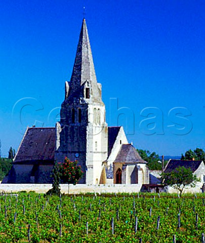 Church at SouzayChampigny seen across the   vineyards of Chteau de Villeneuve  MaineetLoire France SaumurChampigny