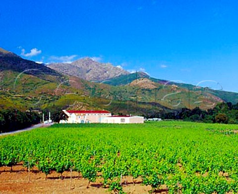 Winery and vineyard of Domaine Vico   PonteLeccia HauteCorse Corsica France     Vin de Corse