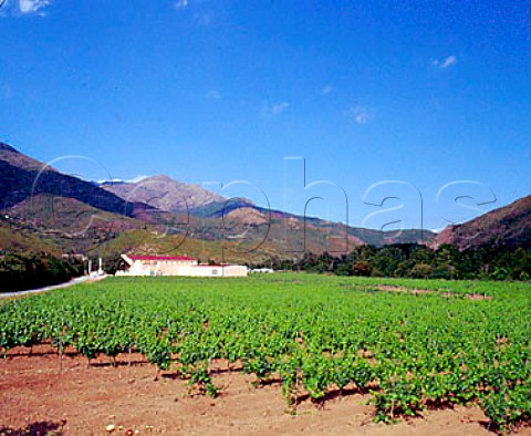 Winery and vineyard of Domaine Vico   PonteLeccia HauteCorse Corsica France     Vin de Corse