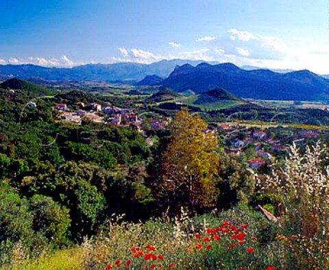 View over village of Patrimonio and its surrounding   vineyards HauteCorse Corsica France   AC Patrimonio