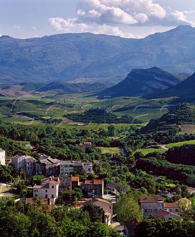 View over village of Patrimonio and its surrounding  vineyards HauteCorse Corsica France   AC Patrimonio