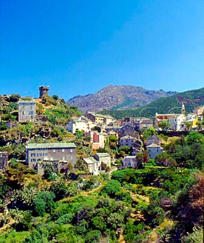 Village of Nonza on the west side of Cap Corse   HauteCorse Corsica France