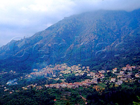 Hillside town of Venaco in the mountains of northern   Corsica       HauteCorse Corsica France