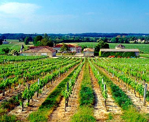Chteau Peychaud and its vineyards Teuillac    Gironde France   Ctes de Bourg  Bordeaux
