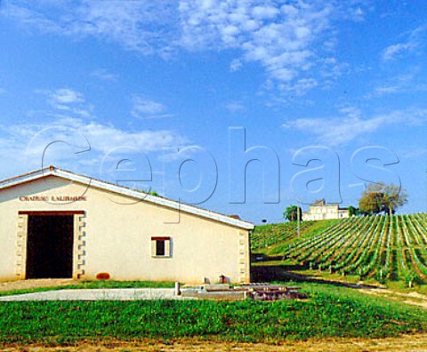 Chteau Lalibarde and its vineyards near Bourg    Gironde France   Ctes de Bourg  Bordeaux