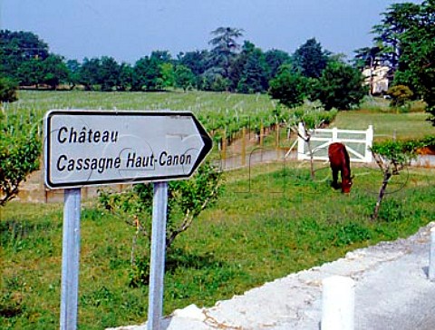 Sign for Chteau CassagneHautCanon near   StMichaeldeFronsac Gironde France    CanonFronsac  Bordeaux