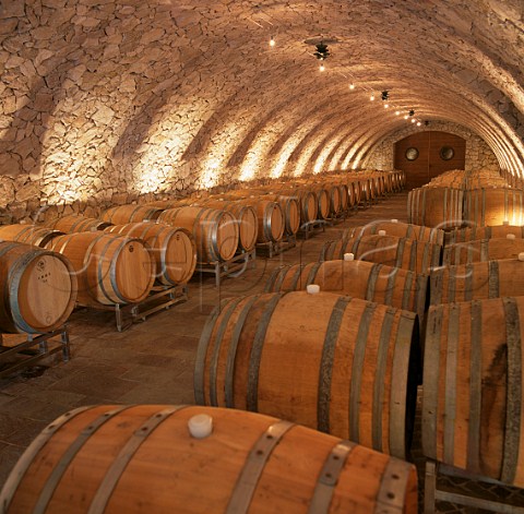 Barrique cellar of Pojer  Sandri Faedo Trentino Italy