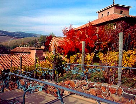 Viansa Winery Sonoma California  Carneros