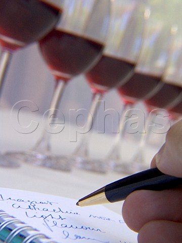 Wine tasting glasses and tasters notes