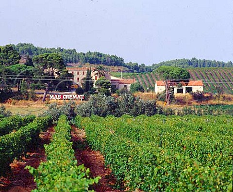 Vineyards at Domaine du Mas Crmat  Rivesaltes PyrnesOrientales France   Ctes du RoussillonVillages  Muscat de Rivesaltes