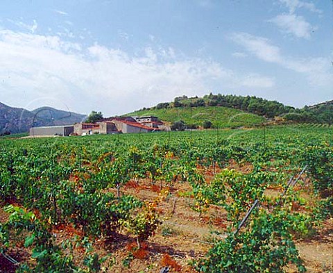 Chteau de Jau and its vineyards  Rivesaltes PyrnesOrientales France   Ctes du RoussillonVillages