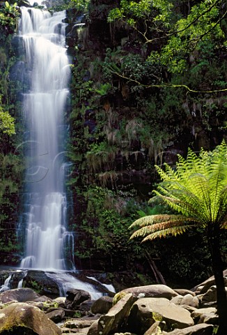 Erskine Falls Angahook Lorne State Park   Victoria Australia