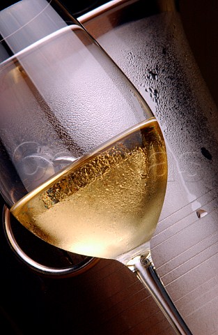 Chilled white wine in glass with wine cooler