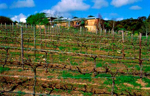 Vineyards below Geoff Merrill Wines    McLaren Vale South Australia