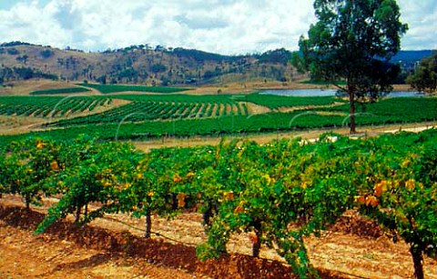 Dalwhinnie vineyards Pyrenees Region   Victoria Australia