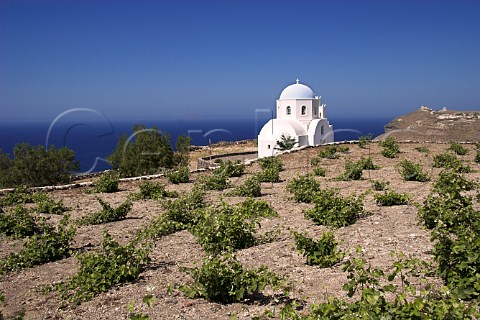 Chapel of Saint Athena and vineyard on volcanic soil above Mesa Pigadia Bay Near Akrotiri Santorini Cyclades Islands Greece