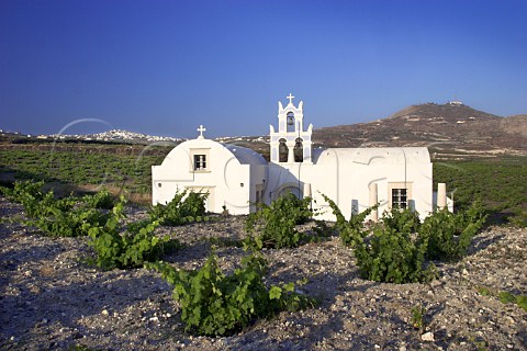 Church in vineyard at Megalochori with the village of Pirgos in distance   Santorini Cyclades Islands Greece