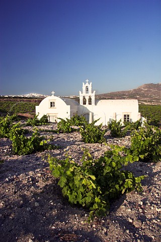 Church in vineyard at Megalochori with village of   Pirgos in distance   Santorini Cyclades Islands   Greece