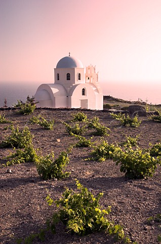 Chapel of Saint Athena and small vineyard at sunset above Mesa   Pigadia Bay near Akrotiri Santorini  Cyclades   Islands Greece