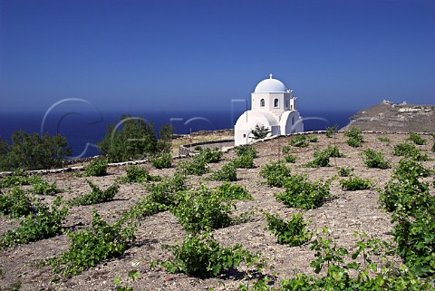 Chapel of Saint Athena and vineyard on volcanic soil above Mesa Pigadia Bay Akrotiri Santorini Cyclades Islands Greece
