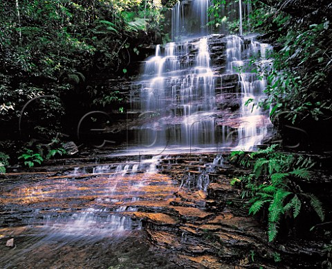 Junction Falls in the Blue Mountains World Heritage   National Park New South Wales Australia