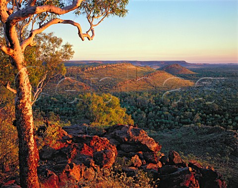 Constance Range in Lawn Hill National Park   Queensland Australia