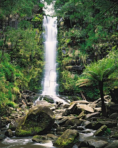 Erskine Falls AngahookeLorne State Park Victoria   Australia