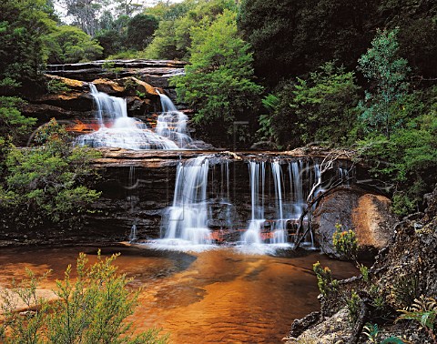 Wentworth Falls in Blue Mountains World Heritage   National Park New South Wales Australia